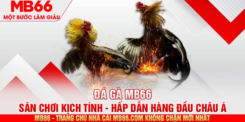 Giới thiệu một vài hình thức chọi kê nổi bật 